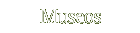 Museos