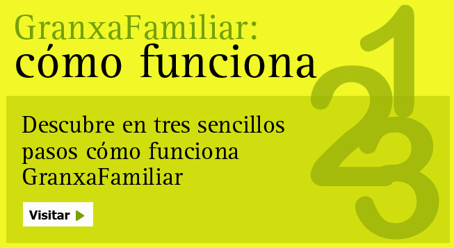 como funciona