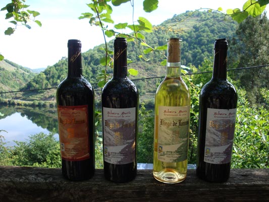 Vi&ntilde;o ecol&oacute;xico