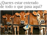Bolet&iacute;n de Novas