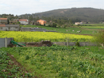  Casa Agro do Cruceiro