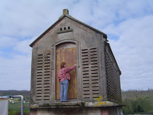 O millo do Agro do Cruceiro