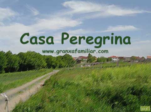 Cr�a de cap�ns en liberdade en Casa Peregrina