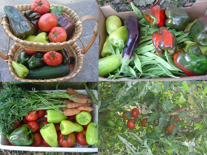 Os productos de Casa Vilarullo