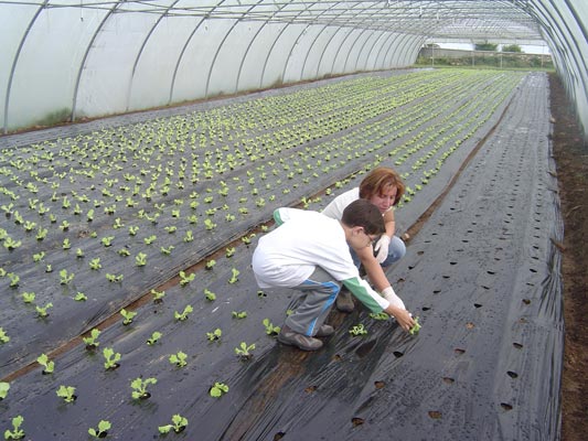 Visita  granxa Agro do Cruceiro [II]