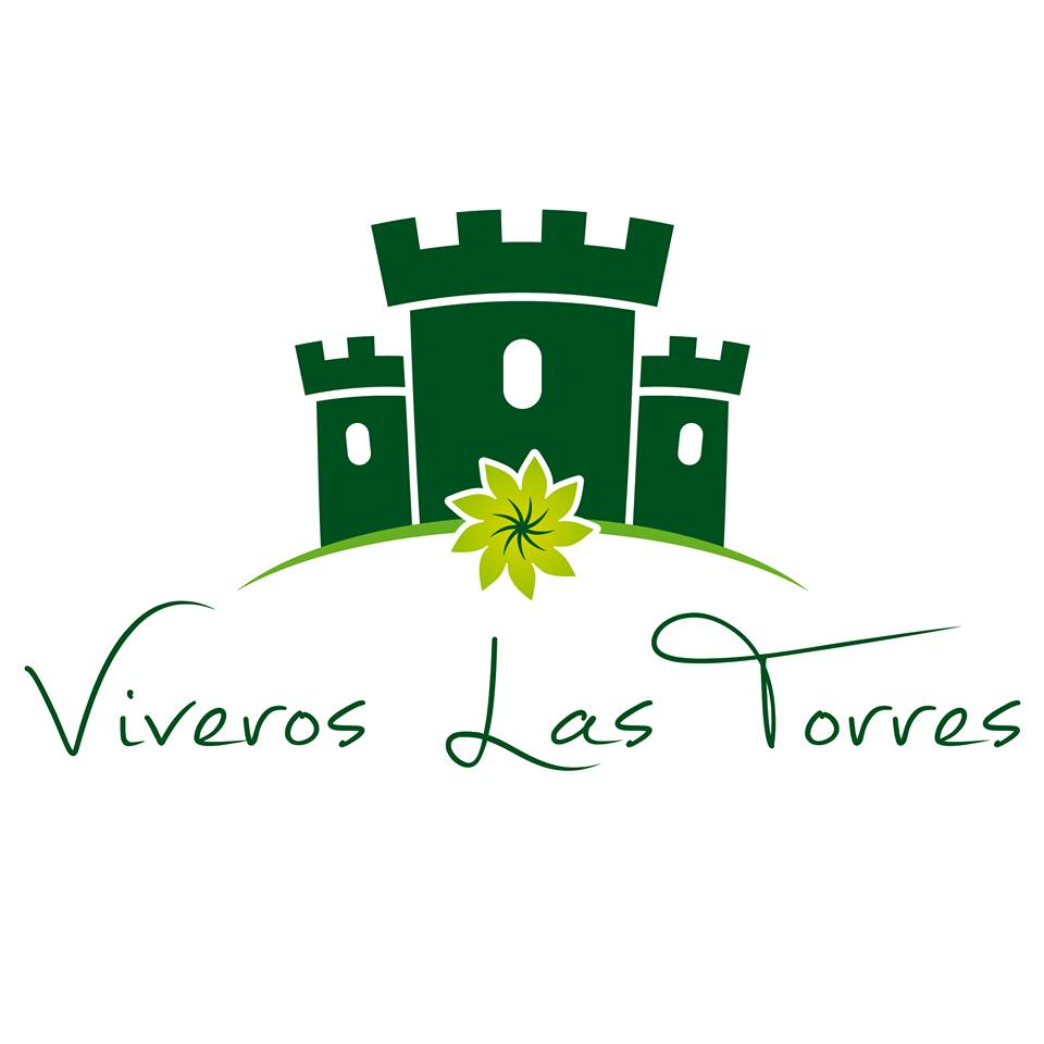 Logo Casa Las Torres